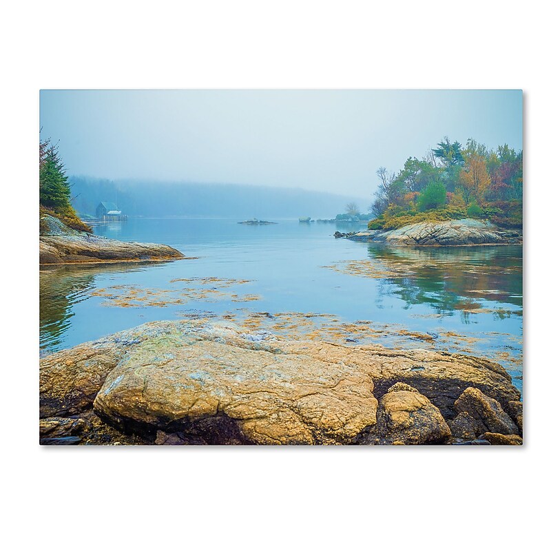 Trademark Fine Art ''Foggy Lake'' by Preston 14" x 19" Canvas Art (EM0511-C1419GG) image 1
