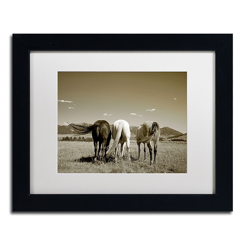 Trademark Fine Art ''Three Horses'' by Preston 11" x 14" White Matted Black Frame (EM0513-B1114MF) image 1