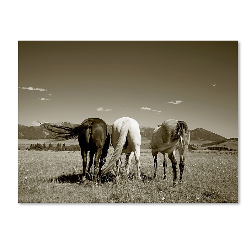 Trademark Fine Art ''Three Horses'' by Preston 14" x 19" Canvas Art (EM0513-C1419GG) image 1