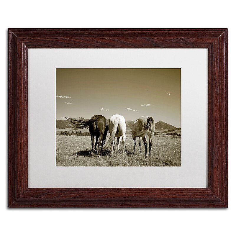 Trademark Fine Art ''Three Horses'' by Preston 11" x 14" White Matted Wood Frame (EM0513-W1114MF) image 1