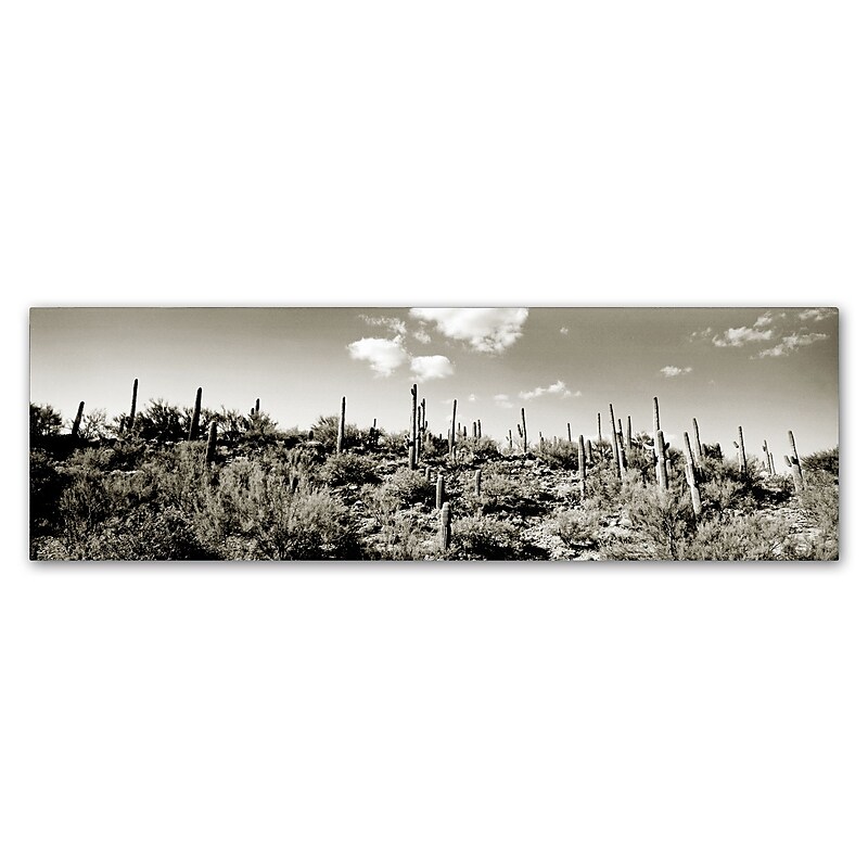 Trademark Fine Art ''Desert'' by Preston 10" x 32" Canvas Art (EM0514-C1032GG) image 1