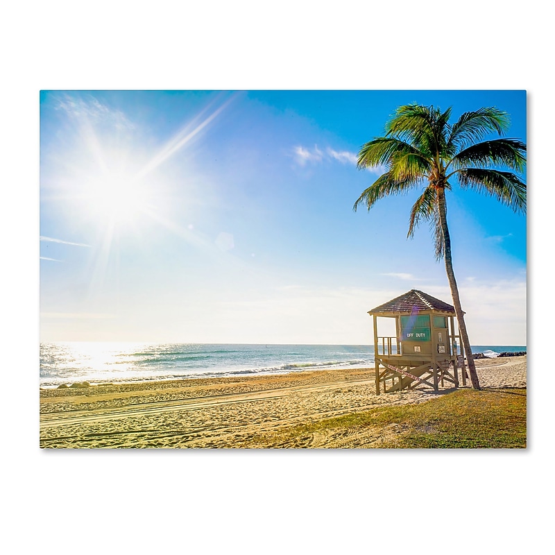 Trademark Fine Art ''Florida Beach Palm'' by Preston 24" x 32" Canvas Art (EM0521-C2432GG) image 1