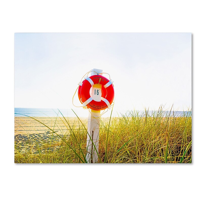 Trademark Fine Art ''Florida Beach Saver'' by Preston 35" x 47" Canvas Art (EM0522-C3547GG) image 1