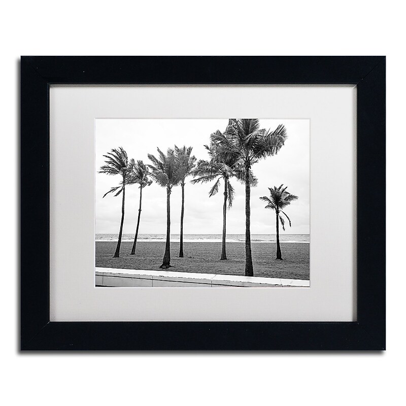 Trademark Fine Art ''Florida BW Beach Palms'' by Preston 11" x 14" White Matted Black Frame (EM0524-B1114MF) image 1