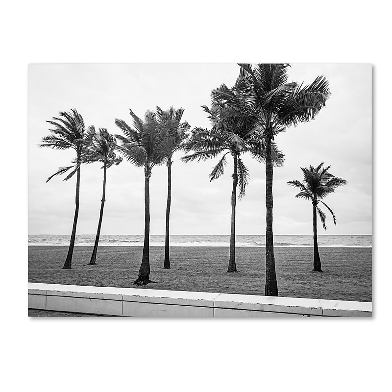 Trademark Fine Art ''Florida BW Beach Palms'' by Preston 35" x 47" Canvas Art (EM0524-C3547GG) image 1