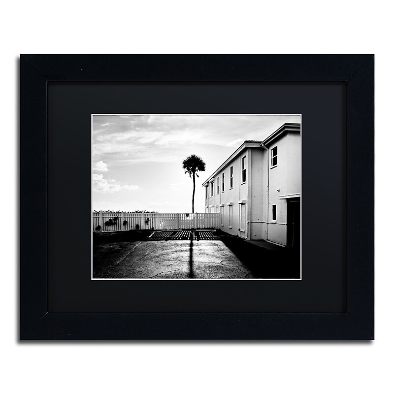Trademark Fine Art ''Florida Lone Palm'' by Preston 11" x 14" Black Matted Black Frame (EM0525-B1114BMF) image 1
