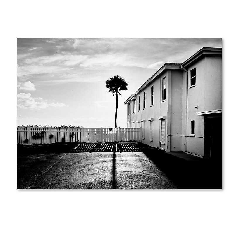 Trademark Fine Art ''Florida Lone Palm'' by Preston 24" x 32" Canvas Art (EM0525-C2432GG) image 1
