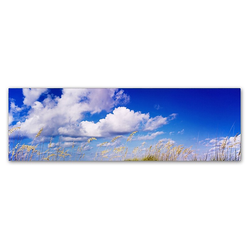 Trademark Fine Art ''Florida Seagrass'' by Preston 8" x 24" Canvas Art (EM0528-C824GG) image 1