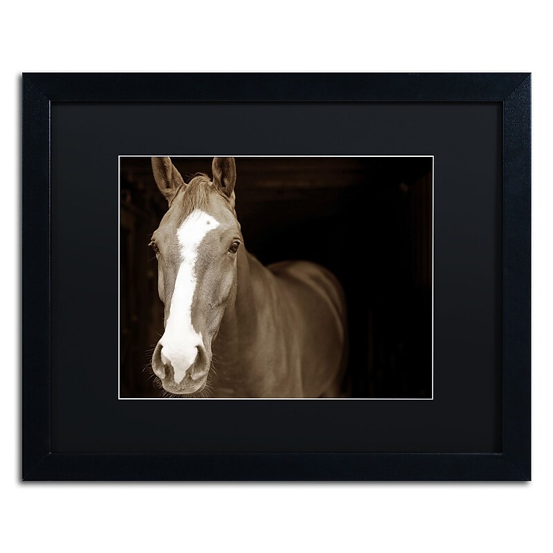 Trademark Fine Art ''Horse Portrait'' by Preston 16" x 20" Black Matted Black Frame (EM0529-B1620BMF) image 1