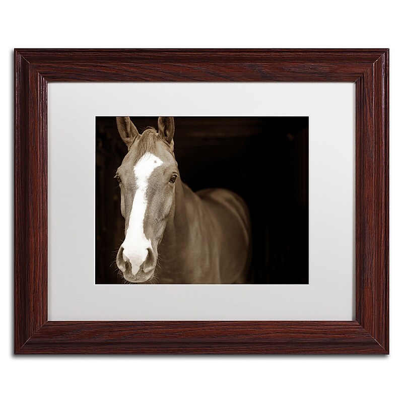 Trademark Fine Art ''Horse Portrait'' by Preston 11" x 14" White Matted Wood Frame (EM0529-W1114MF) image 1