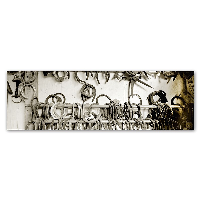 Trademark Fine Art ''Horse Shoes'' by Preston 16" x 47" Canvas Art (EM0531-C1647GG) image 1