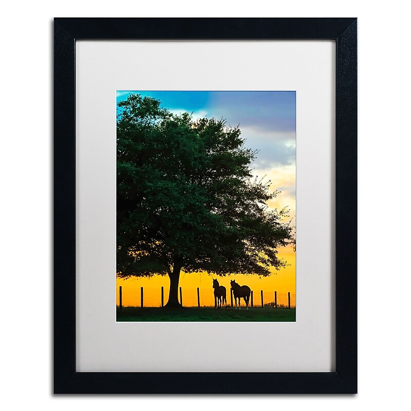 Trademark Fine Art ''Horse Sunset'' by Preston 16" x 20" White Matted Black Frame (EM0532-B1620MF) image 1