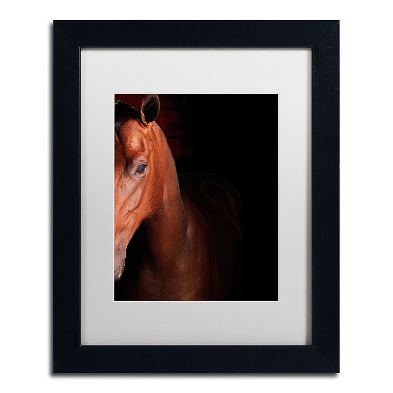 Trademark Fine Art ''Kentucky horse Intense'' by Preston 11" x 14" White Matted Black Frame (EM0535-B1114MF) image 1