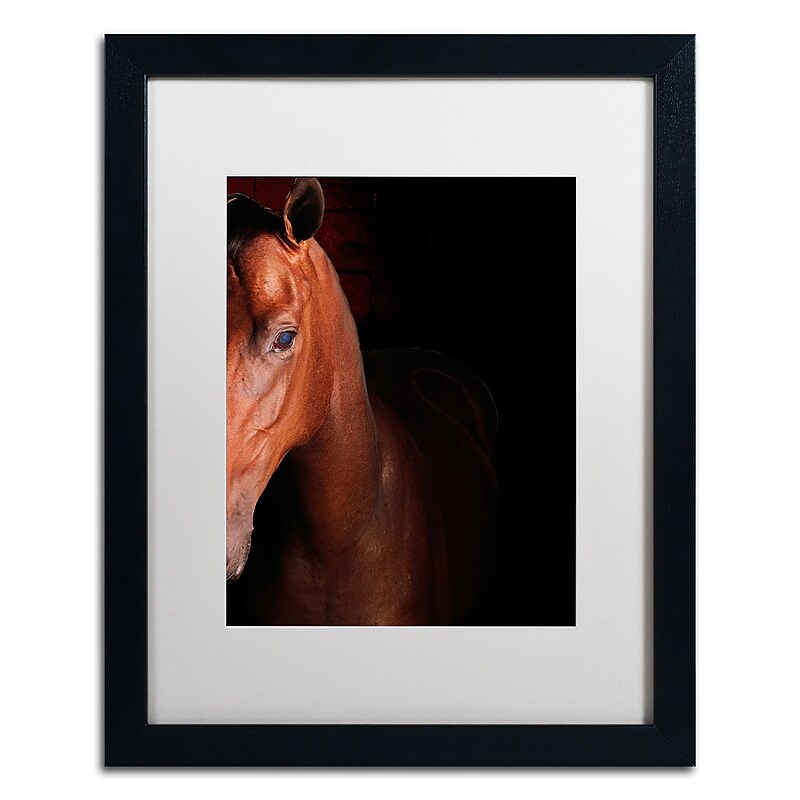 Trademark Fine Art ''Kentucky horse Intense'' by Preston 16" x 20" White Matted Black Frame (EM0535-B1620MF) image 1