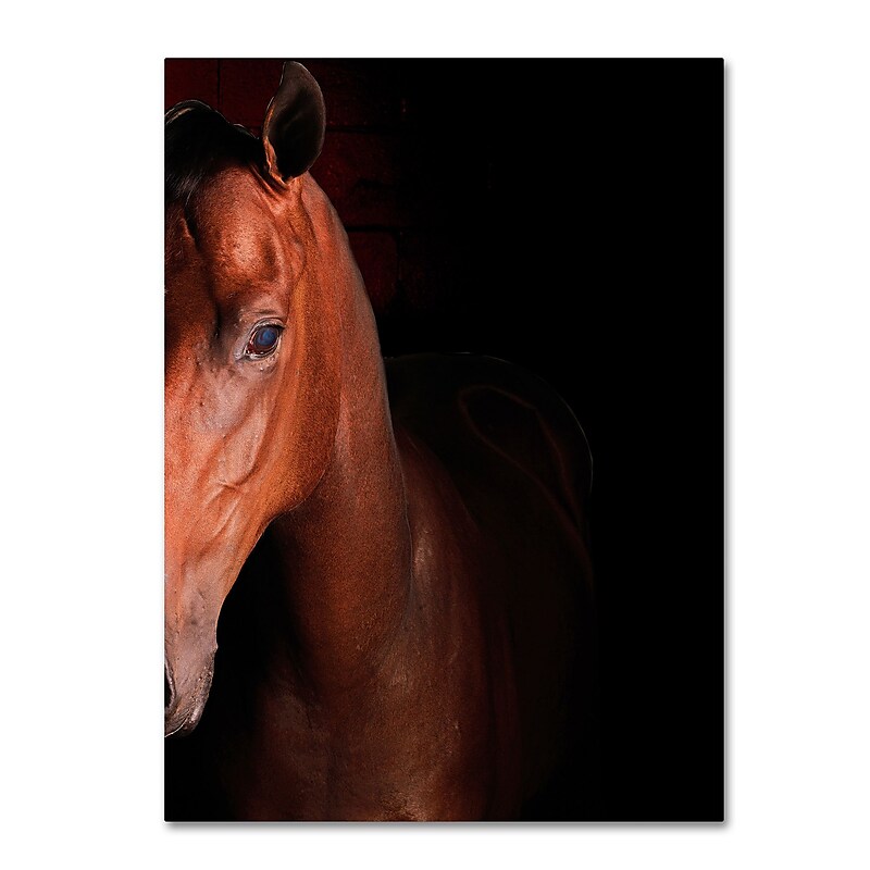 Trademark Fine Art ''Kentucky horse Intense'' by Preston 24" x 32" Canvas Art (EM0535-C2432GG) image 1