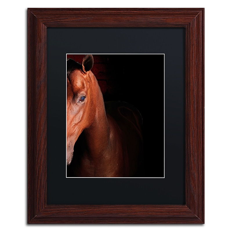 Trademark Fine Art ''Kentucky horse Intense'' by Preston 11" x 14" Black Matted Wood Frame (EM0535-W1114BMF) image 1
