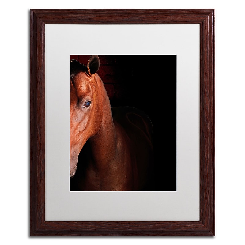 Trademark Fine Art ''Kentucky horse Intense'' by Preston 16" x 20" White Matted Wood Frame (EM0535-W1620MF) image 1