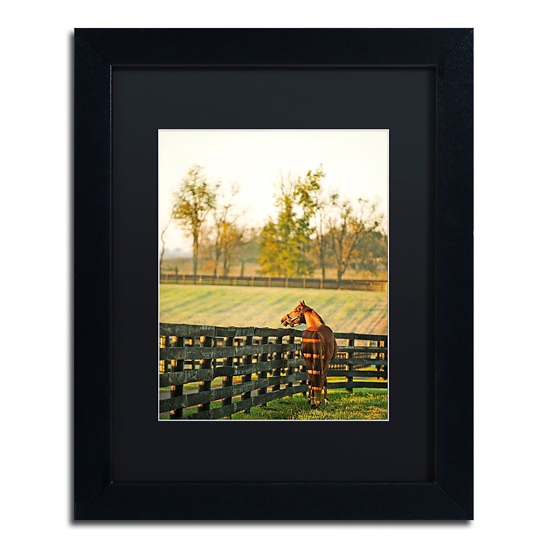Trademark Fine Art ''Kentucky Horse Sunrise'' by Preston 11" x 14" Black Matted Black Frame (EM0536-B1114BMF) image 1