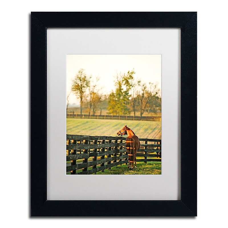 Trademark Fine Art ''Kentucky Horse Sunrise'' by Preston 11" x 14" White Matted Black Frame (EM0536-B1114MF) image 1
