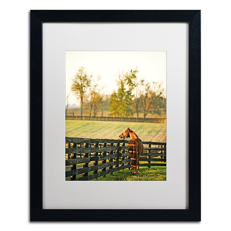 Trademark Fine Art ''Kentucky Horse Sunrise'' by Preston 16" x 20" White Matted Black Frame (EM0536-B1620MF) image 1