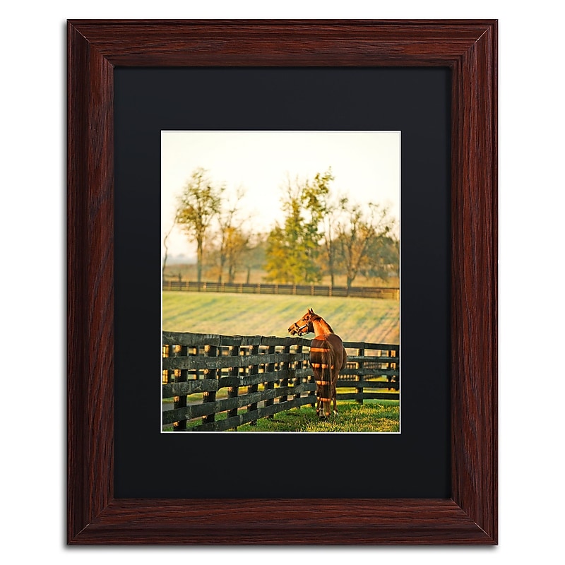 Trademark Fine Art ''Kentucky Horse Sunrise'' by Preston 11" x 14" Black Matted Wood Frame (EM0536-W1114BMF) image 1