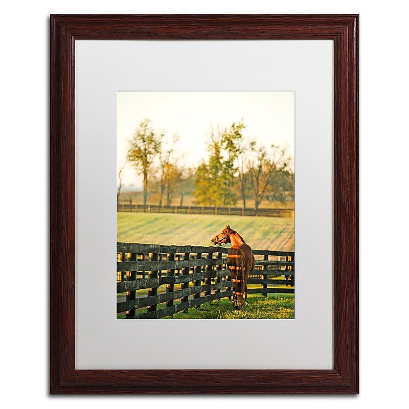 Trademark Fine Art ''Kentucky Horse Sunrise'' by Preston 16" x 20" White Matted Wood Frame (EM0536-W1620MF) image 1