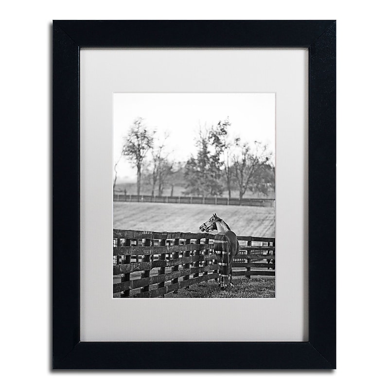 Trademark Fine Art ''Kentucky Horse Sunrise BW'' by Preston 11" x 14" White Matted Black Frame (EM0537-B1114MF) image 1