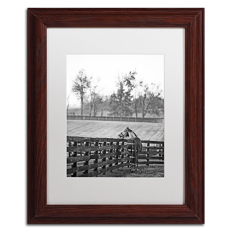 Trademark Fine Art ''Kentucky Horse Sunrise BW'' by Preston 11" x 14" White Matted Wood Frame (EM0537-W1114MF) image 1
