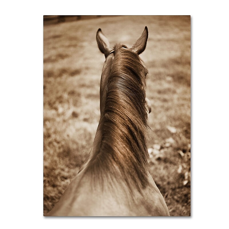 Trademark Fine Art ''Kentucky Horsemane'' by Preston 35" x 47" Canvas Art (EM0538-C3547GG) image 1