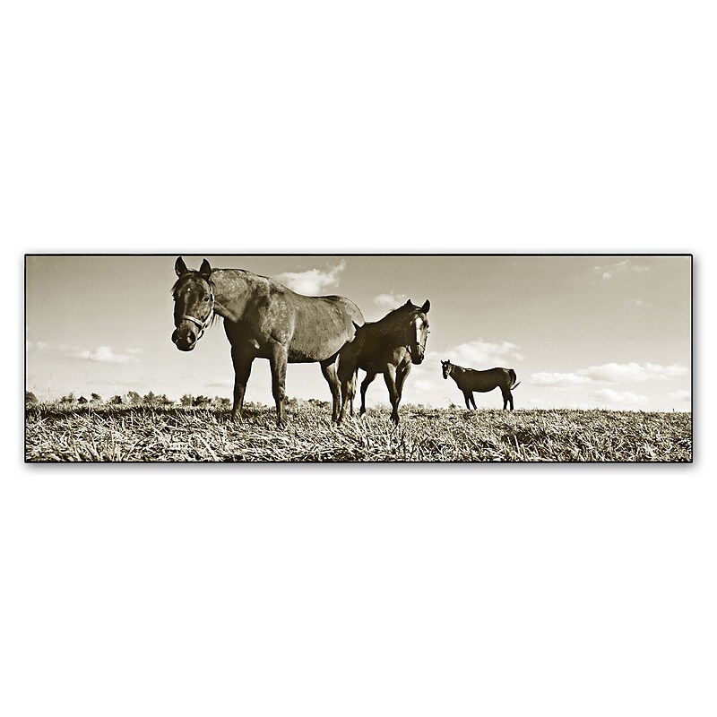 Trademark Fine Art ''Kentucky Horses'' by Preston 16" x 47" Canvas Art (EM0539-C1647GG) image 1