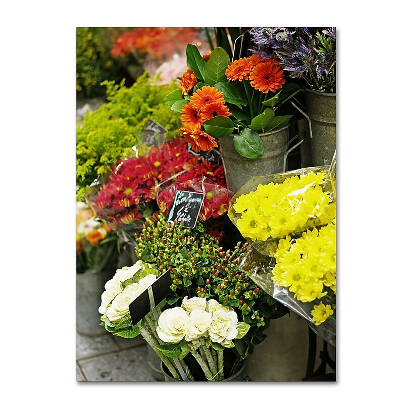 Trademark Fine Art ''Parisian Flowers'' by Preston 35" x 47" Canvas Art (EM0558-C3547GG) image 1