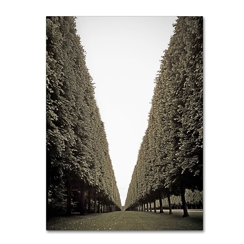 Trademark Fine Art ''Parisian Versailles Trees'' by Preston 35" x 47" Canvas Art (EM0563-C3547GG) image 1