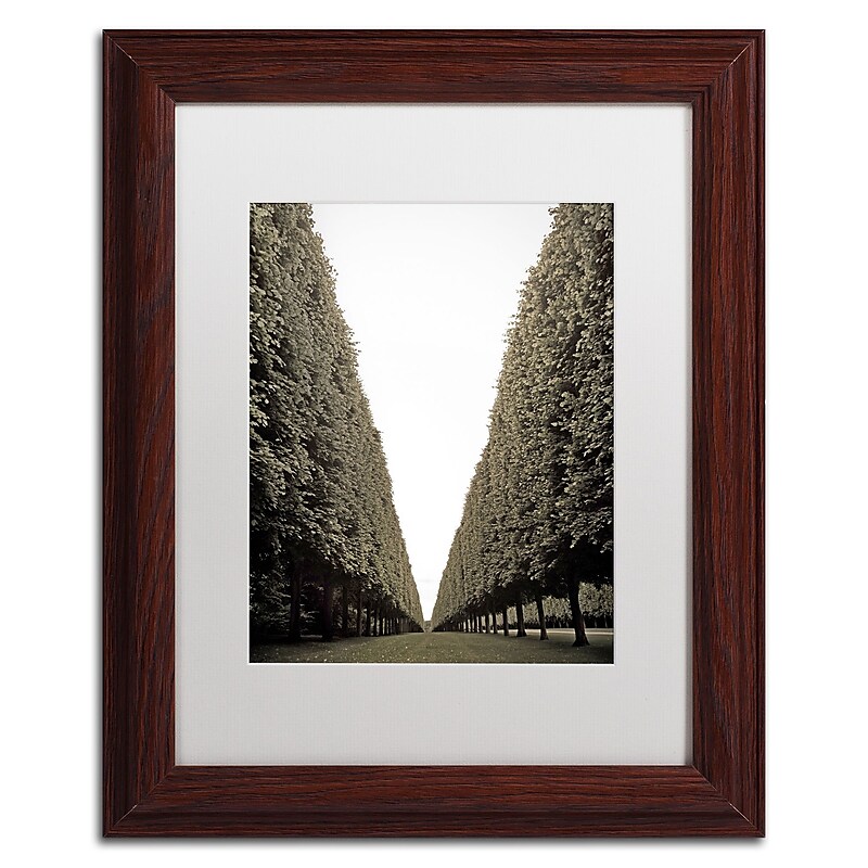 Trademark Fine Art ''Parisian Versailles Trees'' by Preston 11" x 14" White Matted Wood Frame (EM0563-W1114MF) image 1