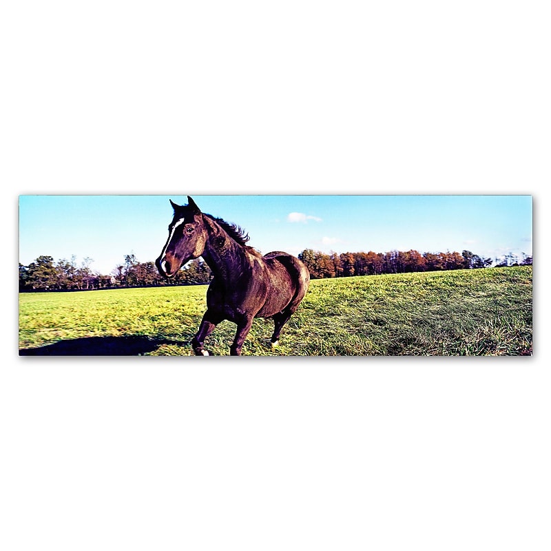 Trademark Fine Art ''Running Horse'' by Preston 10" x 32" Canvas Art (EM0564-C1032GG) image 1