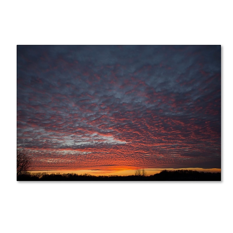Trademark Fine Art ''Amazing Winter Sunset'' by Kurt Shaffer 12" x 19" Canvas Art (KS01063-C1219GG) image 1