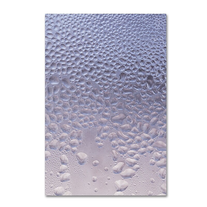 Trademark Fine Art ''Condensation on a Cold Window'' by Kurt Shaffer 22" x 32" Canvas Art (KS01066-C2232GG) image 1