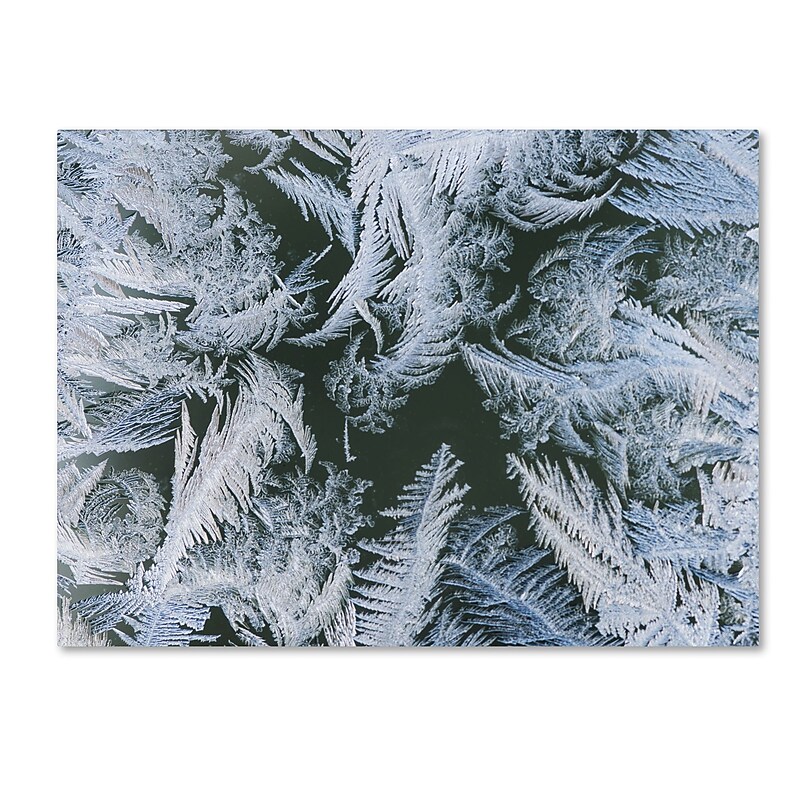 Trademark Fine Art ''Frost at Zero Degrees'' by Kurt Shaffer 24" x 32" Canvas Art (KS01069-C2432GG) image 1