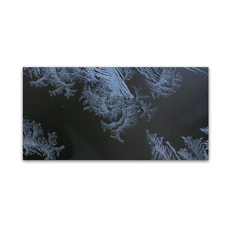 Trademark Fine Art ''Frost Lace'' by Kurt Shaffer 24" x 47" Canvas Art (KS01070-C2447GG) image 1