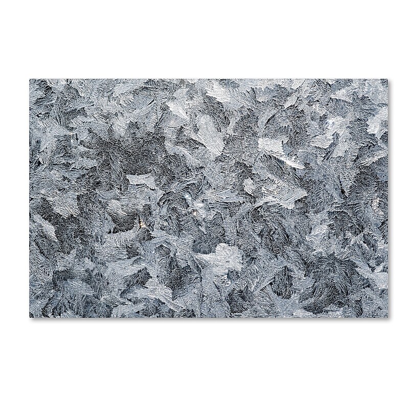 Trademark Fine Art ''Frost Mosaic'' by Kurt Shaffer 30" x 47" Canvas Art (KS01072-C3047GG) image 1