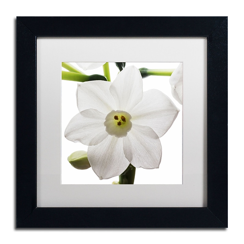Trademark Fine Art ''Paper White 2'' by Kurt Shaffer 11" x 11" White Matted Black Frame (KS01075-B1111MF) image 1