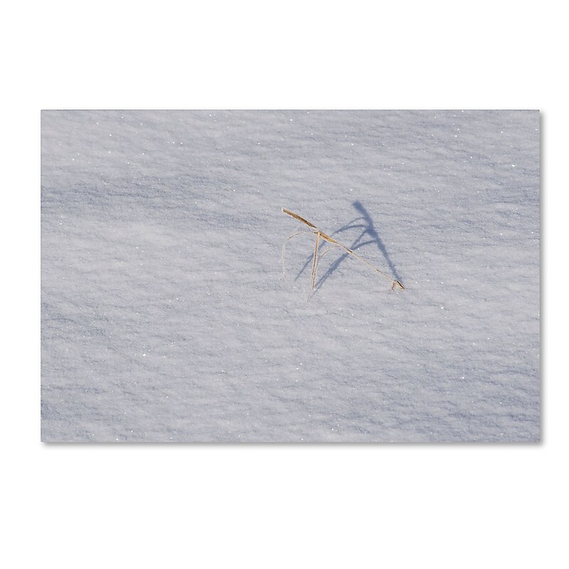 Trademark Fine Art ''Winters Bleak Beauty'' by Kurt Shaffer 16" x 24" Canvas Art (KS01079-C1624GG) image 1