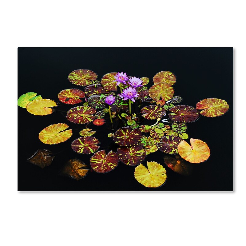 Trademark Fine Art ''Exotic Lilies'' by Kurt Shaffer 12" x 19" Canvas Art (KS01084-C1219GG) image 1