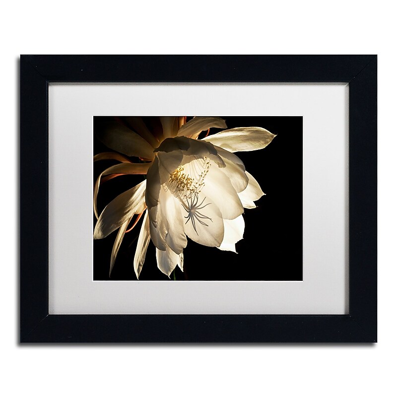 Trademark Fine Art ''Midnight Portrait'' by Kurt Shaffer 11" x 14" White Matted Black Frame (KS01085-B1114MF) image 1