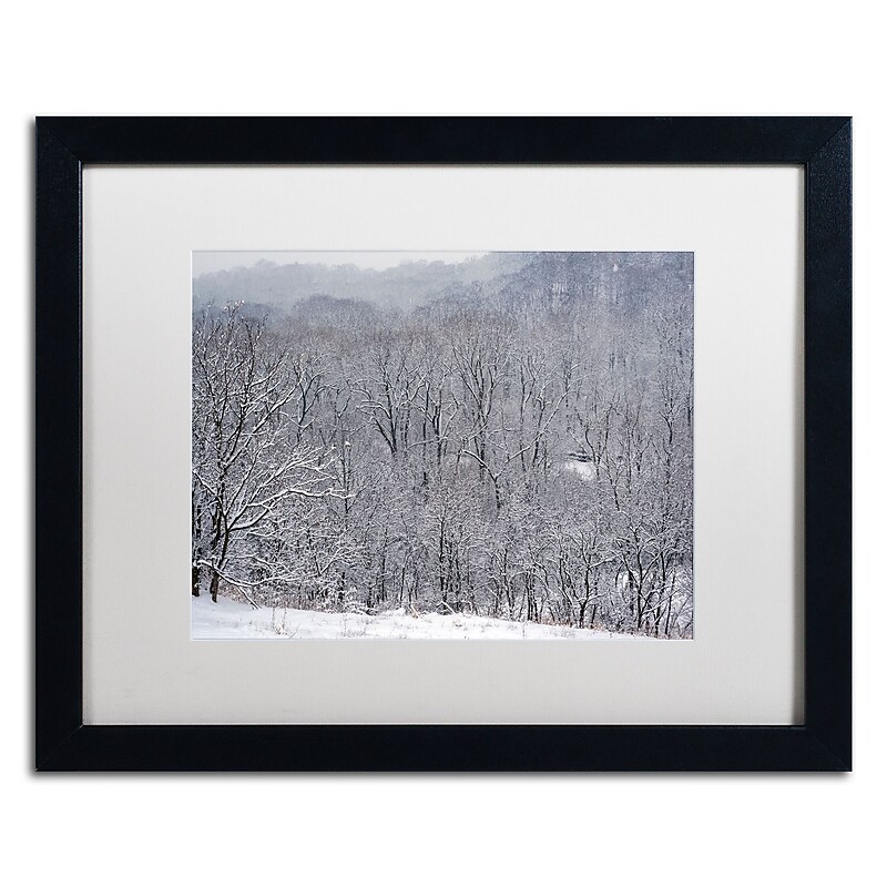 Trademark Fine Art ''Quiet Heavy Snowfall'' by Kurt Shaffer 16" x 20" White Matted Black Frame (KS01086-B1620MF) image 1