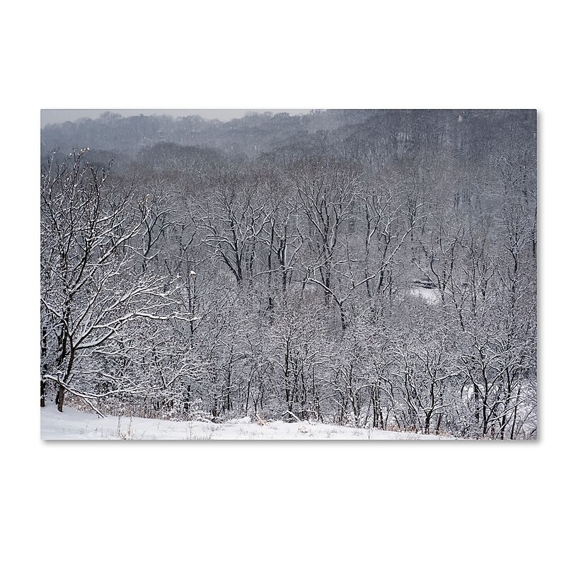 Trademark Fine Art ''Quiet Heavy Snowfall'' by Kurt Shaffer 22" x 32" Canvas Art (KS01086-C2232GG) image 1