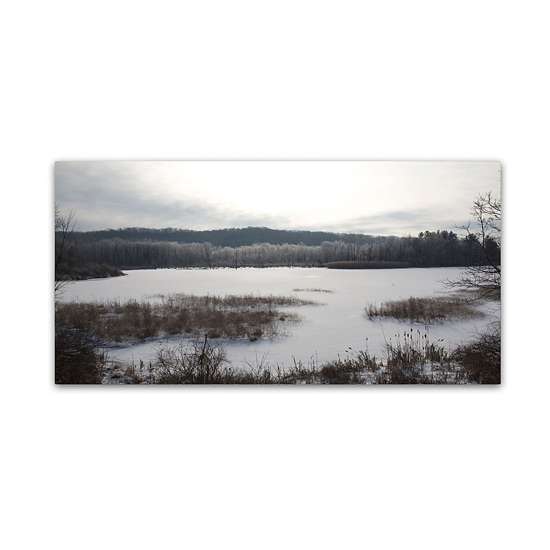 Trademark Fine Art ''Winter at the Beaver Marsh'' by Kurt Shaffer 10" x 19" Canvas Art (KS01089-C1019GG) image 1