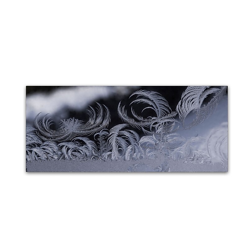 Trademark Fine Art ''Fabulous Frost'' by Kurt Shaffer 10" x 24" Canvas Art (KS01092-C1024GG) image 1