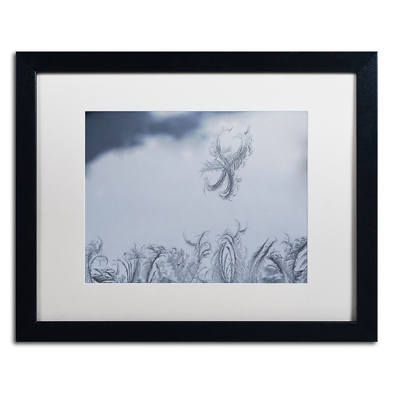 Trademark Fine Art ''Frost Fairy on a Window'' by Kurt Shaffer 16" x 20" White Matted Black Frame (KS01095-B1620MF) image 1