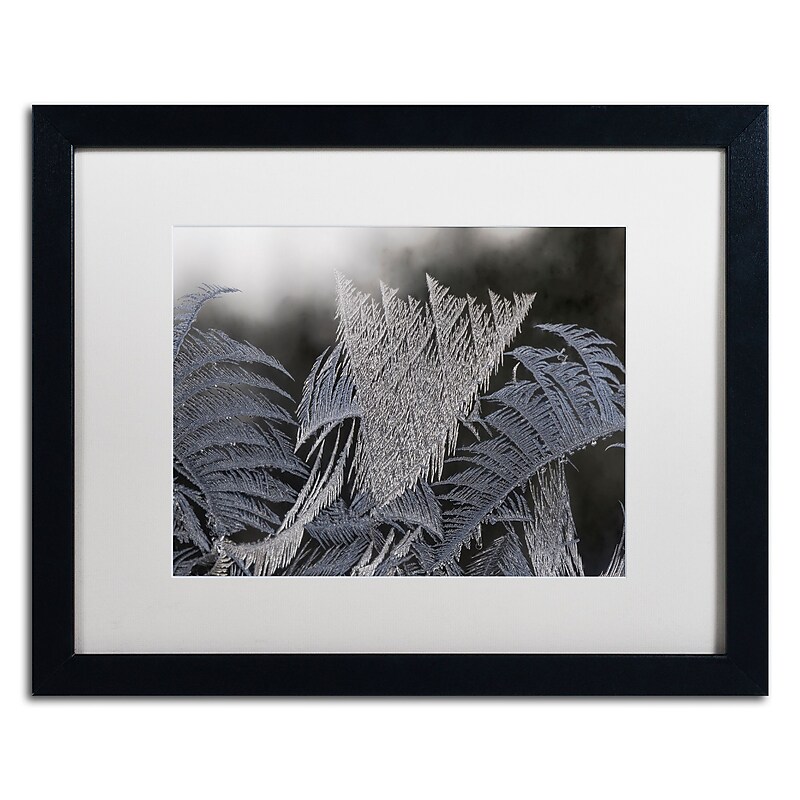 Trademark Fine Art ''Frost on my Window'' by Kurt Shaffer 16" x 20" White Matted Black Frame (KS01096-B1620MF) image 1