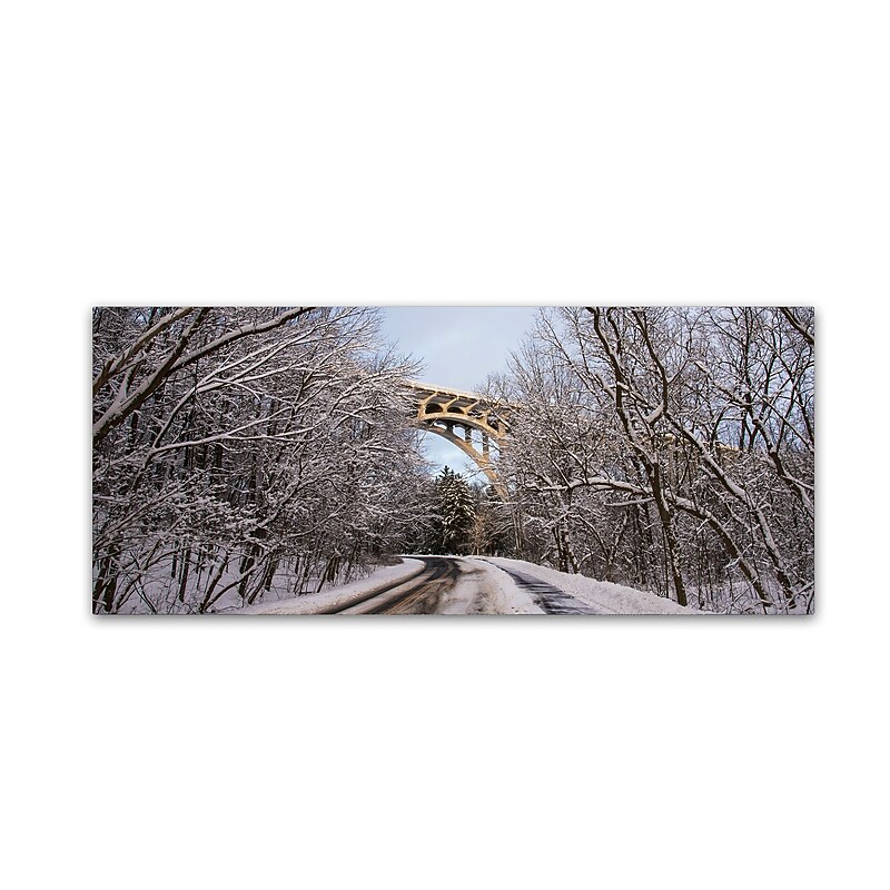 Trademark Fine Art ''Heavy Snowfall Along the Parkway 2'' by Kurt Shaffer 20" x 47" Canvas Art (KS01099-C2047GG) image 1